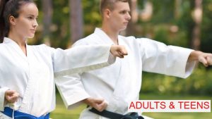 adults karate