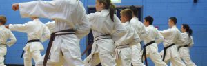 Martial arts classes