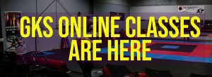 Online karate classes