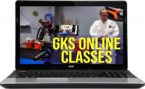 online karate classes